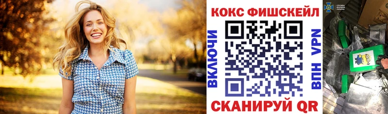 Купить закладки  Злынка  COCAIN 99% 