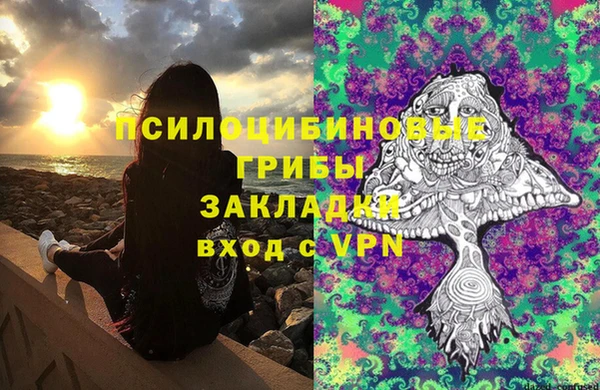 хмурый Горняк