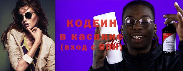 хмурый Горняк