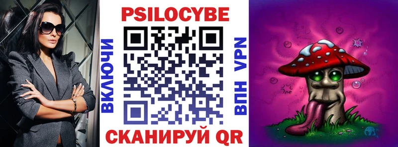 Купить закладки  Злынка  Псилоцибиновые грибы Psilocybe 